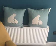 Pair of cushions