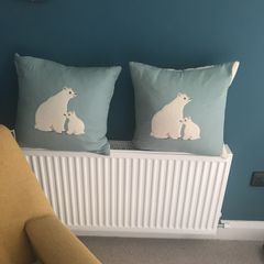Pair of cushions