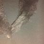 Ladies black Cardigan.... Evita Image 5
