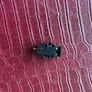 SHURE M55E cartridge without stylus MM cartridge Image 4