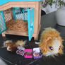 Little Live Pets Image 3