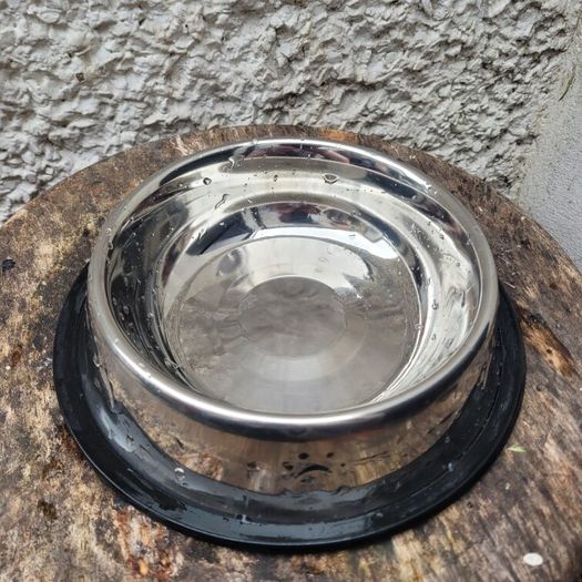 large dog bowl