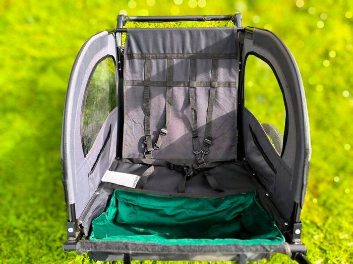 2-in-1 Bike Trailer & Jogging/Stroller
