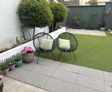 Buxus Lollipop Trees x 4