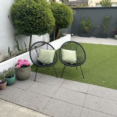 Buxus Lollipop Trees x 4