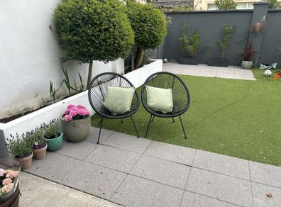 Buxus Lollipop Trees x 4