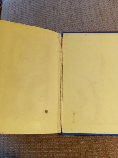 Rare Find 1876 Sybil's Book by Lady Barker. Antique. Literature.