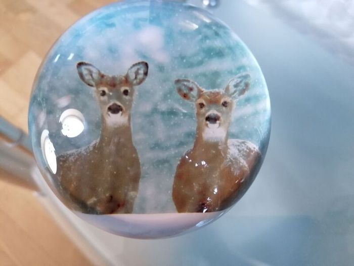 Paperweight