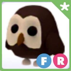 Adopt me pets FR owl
