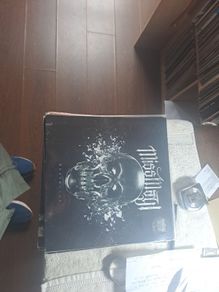 Vinyl.MissMay1