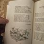Great Horses And Gallant Horsemen. Inspiring Poems Collected By Mary Vaughan And Illustrated By John King. First Edition Hardback With Dustjacket In Good Condition.  See Photos For Same. Image 5