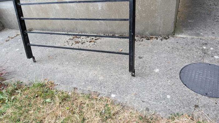 Iron Railing