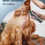 Dog Clippers for Grooming for Thick Heavy Coats/Low Noise Rechargeable Cordless Pet Shaver Stainless Steel Blade /Waterproof Dog Image 5