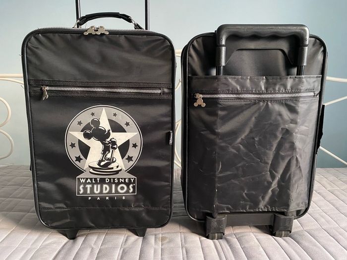 Disney Hand luggage