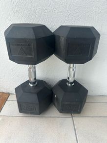 25kg Dumbells