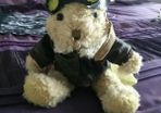 The Bear Collection - Pilot Bear