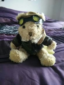 The Bear Collection - Pilot Bear