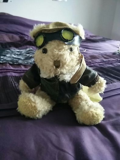 The Bear Collection - Pilot Bear