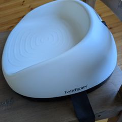 Baby Bjorn Booster Chair