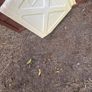 play house Image 2