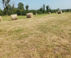 Bales of hay