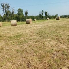 Bales of hay