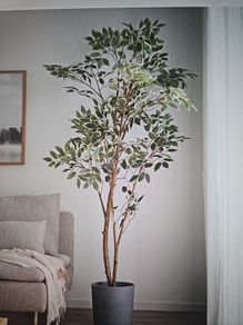 Large Artificial Plant