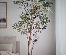 Large Artificial Plant
