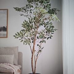 Large Artificial Plant