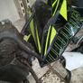 pit bike Image 10
