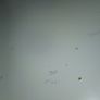 IKEA MICKE Desk, white, 105x50 cm Image 4