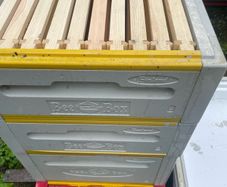 Beehives