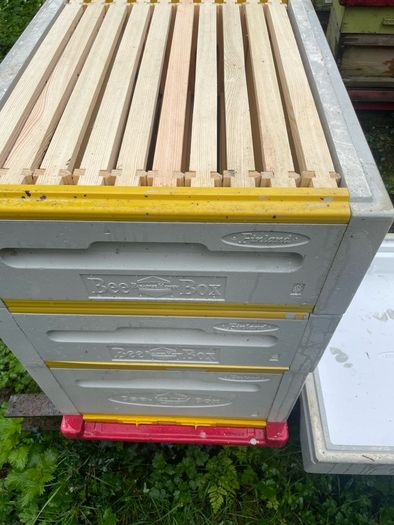 Beehives