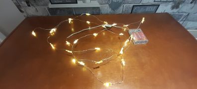 Champagne Bottle LED Lights. Free Postage!
