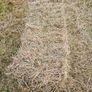 Organic Hay Image 5