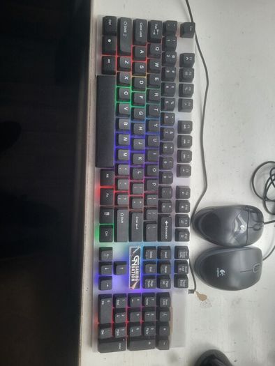 gaming keyboard and usb mice