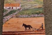 Mistrust and Malice a tale of sibling rivalry in 1920's West Cork Ireland by William Bateman 2016 in very good condition FREE STANDARD POSTAGE INCLUDED