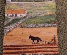 Mistrust and Malice a tale of sibling rivalry in 1920's West Cork Ireland by William Bateman 2016 in very good condition FREE STANDARD POSTAGE INCLUDED