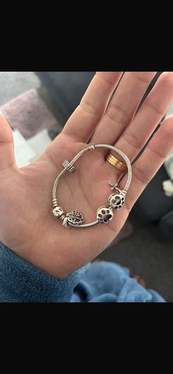 Original Pandora S925 ALE Silver Bracelet with Charms