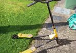 3 wheel scooter