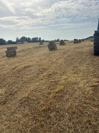 Hay/haylage