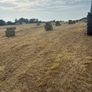 Hay/haylage Image 2