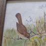 Watercolour. Image 5