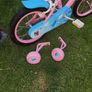 kids bike 14 Image 5