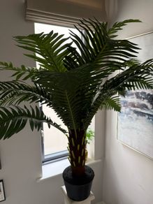 Artificial Houseplant x2