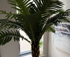Artificial Houseplant x2