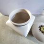 Rare find  Vintage White Taunton Vale Storage Jar with Green, Yellow and Brown Floral Design Crazed otherwise Good Condition Image 4
