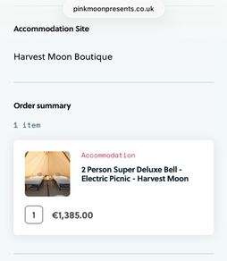 Electric Picnic