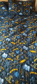 Harry Potter Quilt Set