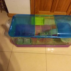 guinea pig / rabbit cage